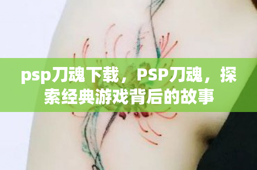 psp刀魂下载，PSP刀魂，探索经典游戏背后的故事