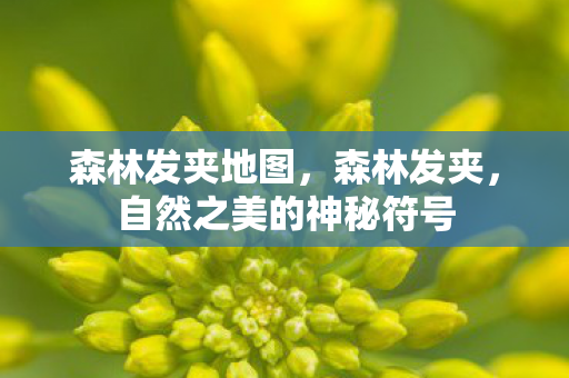 自然之美的神秘符号图片