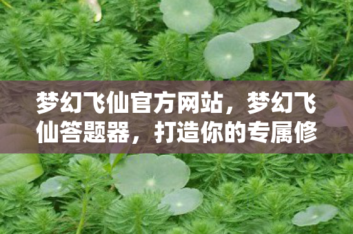 打造你的专属修仙之旅图片