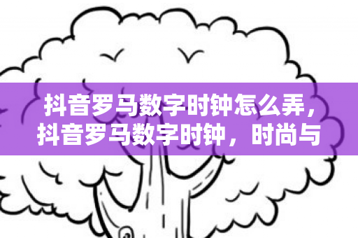 抖音罗马数字时钟怎么弄，抖音罗马数字时钟，时尚与古典的完美结合