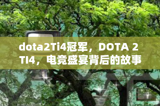 dota2Ti4冠军，DOTA 2 TI4，电竞盛宴背后的故事