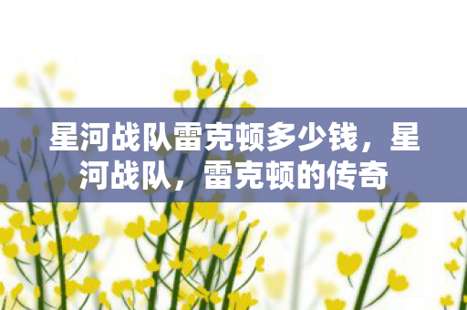 星河战队雷克顿多少钱图片