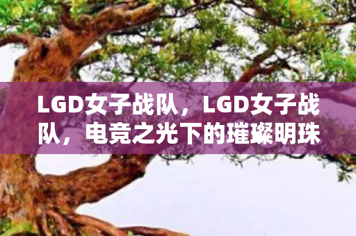 LGD女子战队，LGD女子战队，电竞之光下的璀璨明珠