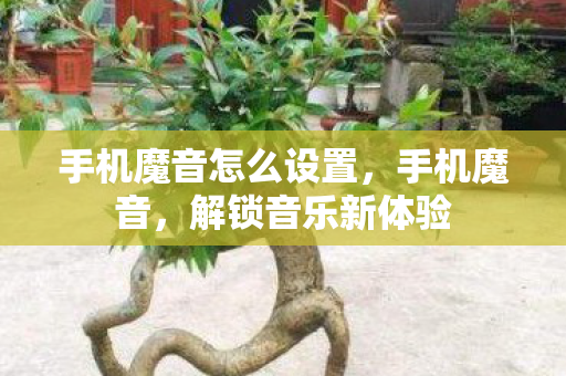 手机魔音怎么设置，手机魔音，解锁音乐新体验