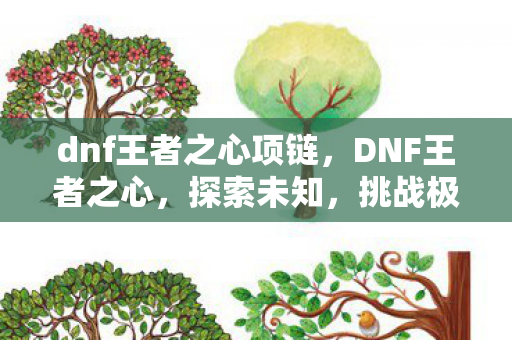 dnf王者之心项链，DNF王者之心，探索未知，挑战极限