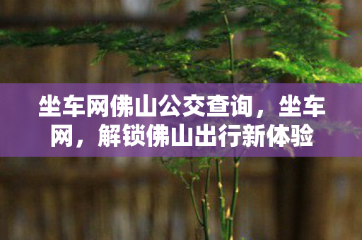坐车网佛山公交查询，坐车网，解锁佛山出行新体验