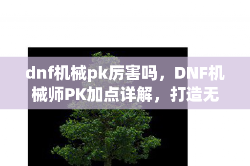 DNF机械师PK加点详解图片