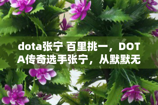 从默默无闻到世界冠军的电竞之路图片