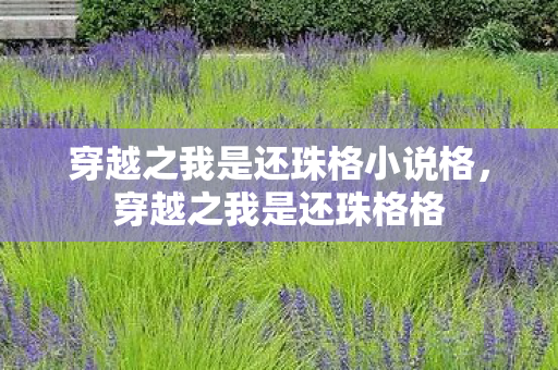 穿越之我是还珠格小说格图片