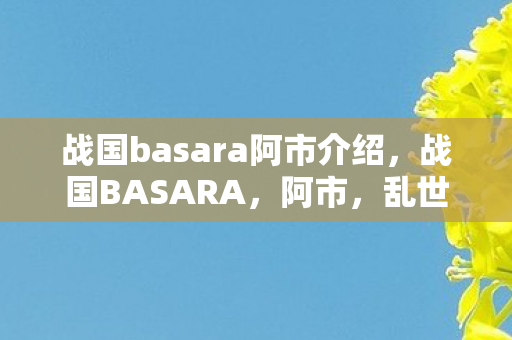 战国basara阿市介绍图片
