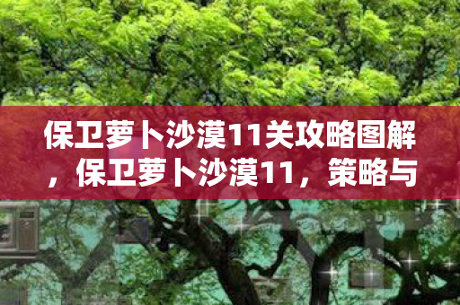 保卫萝卜沙漠11关攻略图解图片