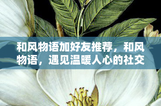 遇见温暖人心的社交之旅图片