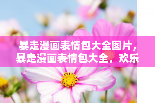 暴走漫画表情包大全图片，暴走漫画表情包大全，欢乐与幽默的碰撞