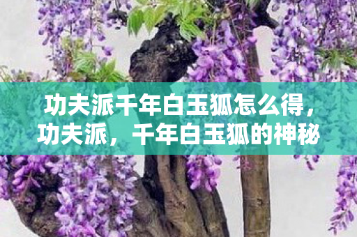 功夫派千年白玉狐怎么得图片