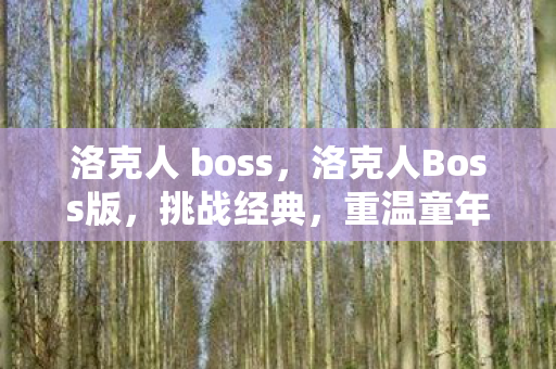 洛克人 boss，洛克人Boss版，挑战经典，重温童年回忆