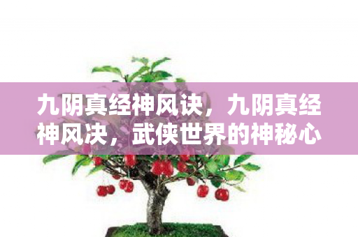 九阴真经神风诀，九阴真经神风决，武侠世界的神秘心法