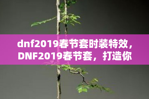 dnf2019春节套时装特效，DNF2019春节套，打造你的专属角色，迎接新春挑战