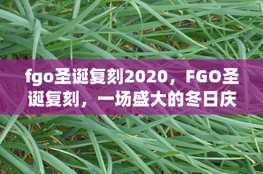 fgo圣诞复刻2020图片