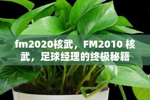 FM2010 核武图片