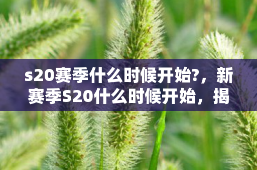 揭秘王者荣耀新赛季的发布时间图片