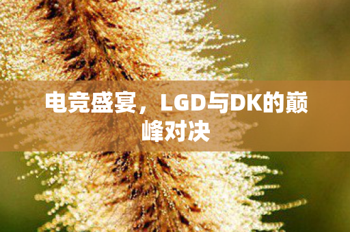 电竞盛宴，LGD与DK的巅峰对决