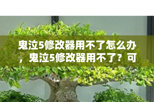 鬼泣5修改器用不了怎么办图片