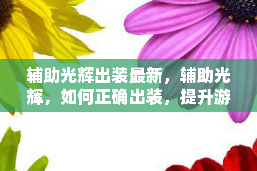 辅助光辉出装最新图片