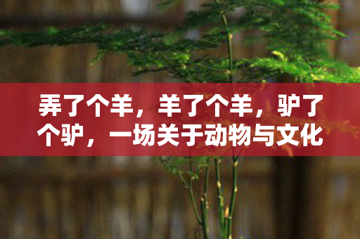 一场关于动物与文化的奇妙碰撞图片