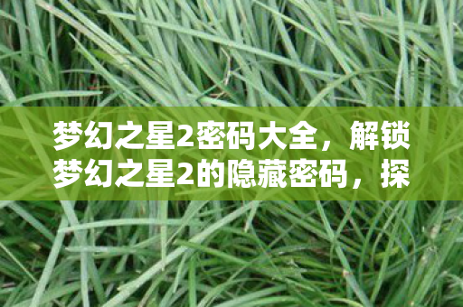 梦幻之星2密码大全，解锁梦幻之星2的隐藏密码，探索经典游戏的神秘世界