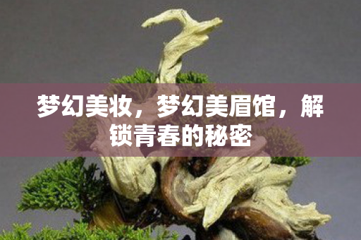 解锁青春的秘密图片
