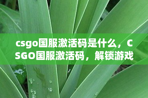 csgo国服激活码是什么图片