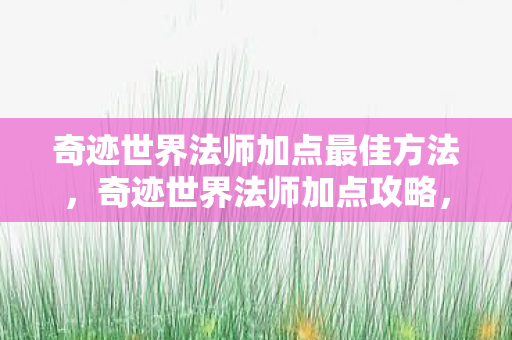 奇迹世界法师加点最佳方法图片