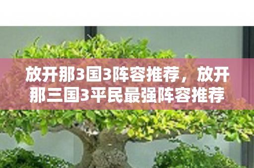 放开那三国3平民最强阵容推荐图片