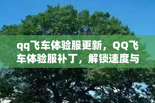 解锁速度与激情的钥匙图片