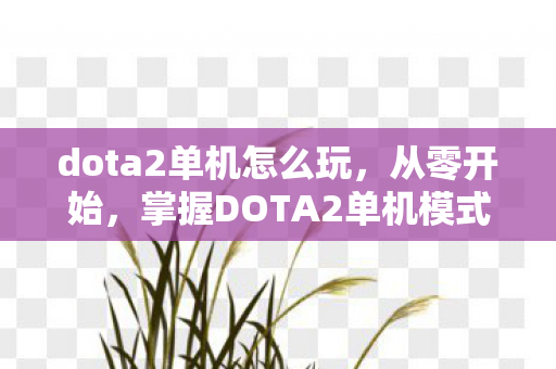 dota2单机怎么玩，从零开始，掌握DOTA2单机模式，全面教程