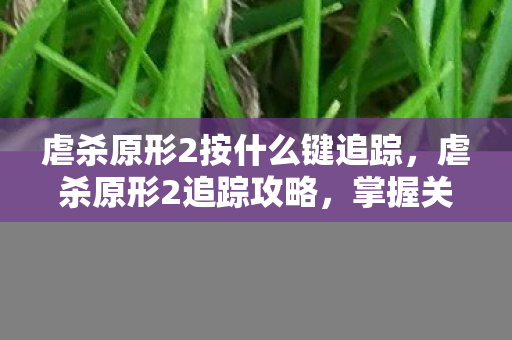 虐杀原形2按什么键追踪图片