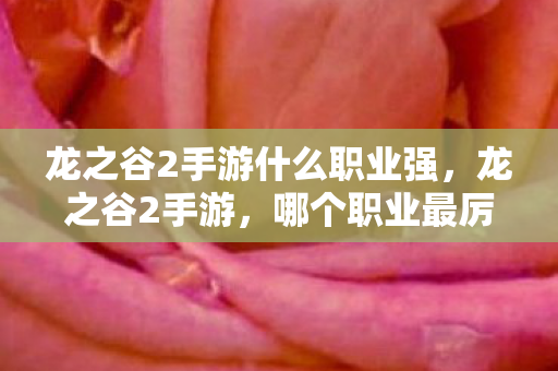 龙之谷2手游什么职业强，龙之谷2手游，哪个职业最厉害？