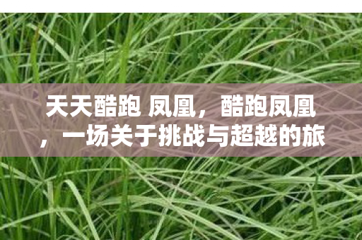 一场关于挑战与超越的旅程图片