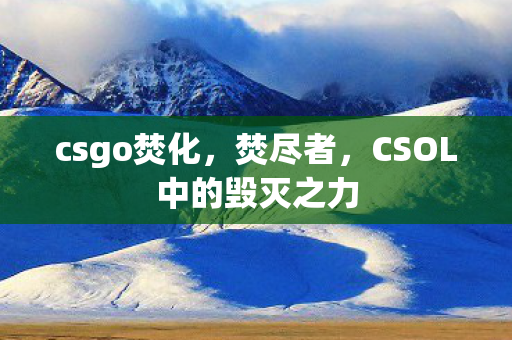 CSOL中的毁灭之力图片