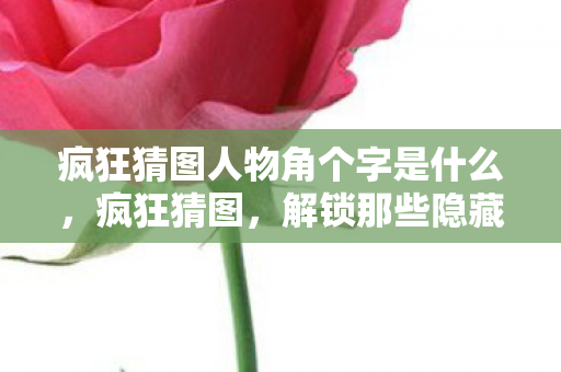 疯狂猜图人物角个字是什么，疯狂猜图，解锁那些隐藏的人物角色