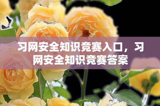 习网安全知识竞赛入口图片