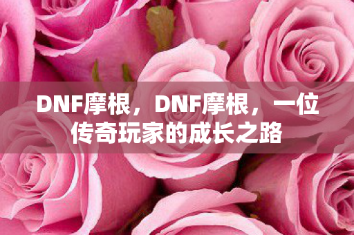 一位传奇玩家的成长之路图片