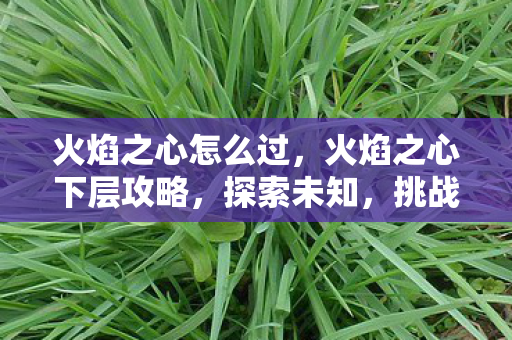 火焰之心下层攻略图片