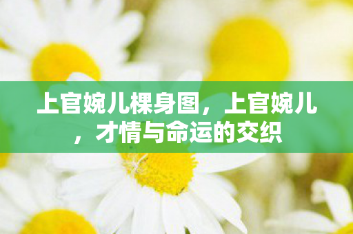 才情与命运的交织图片