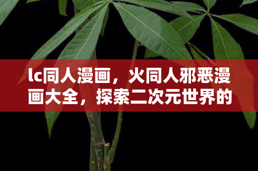 探索二次元世界的另类魅力图片