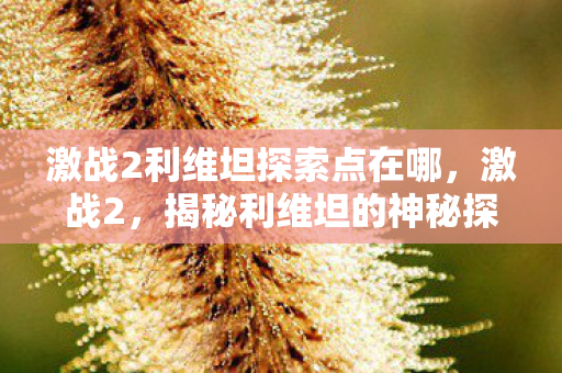 激战2利维坦探索点在哪图片