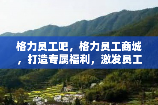 格力员工商城图片