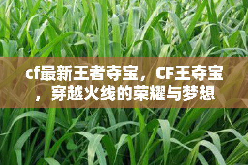 穿越火线的荣耀与梦想图片