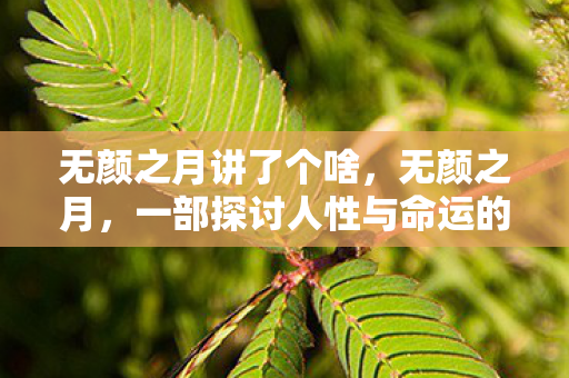 一部探讨人性与命运的深刻作品图片