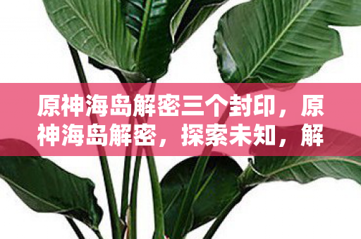 原神海岛解密三个封印图片